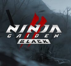 NINJA GAIDEN 2